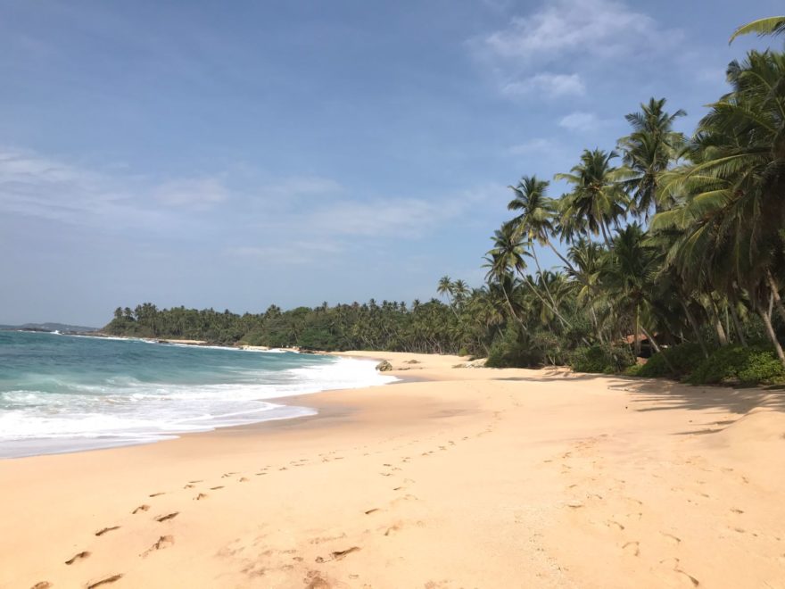 Exploring the South Coast: Galle Fort, Mirissa and Tangalle 