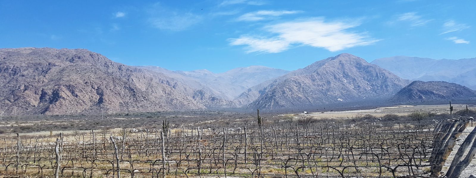 Drinking Argentinian wines in Salta and Cafayate